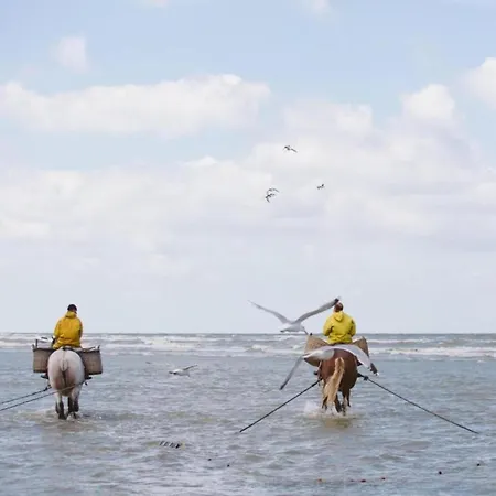 Appartement By Belgian Coast With Views Oostduinkerke